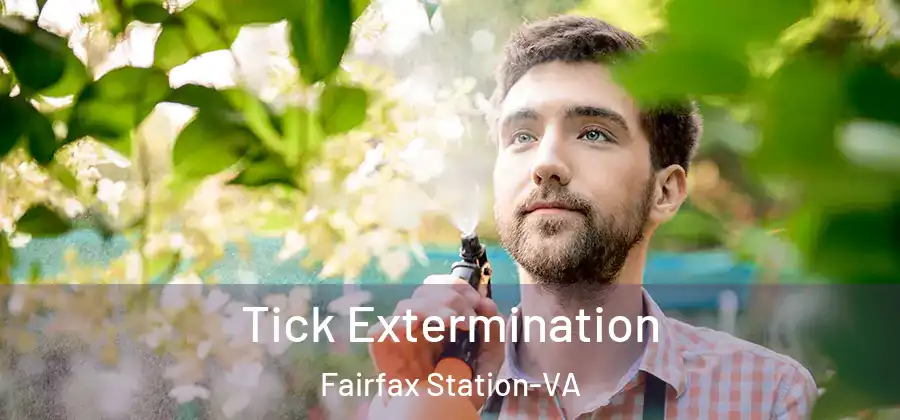 Tick Extermination Fairfax Station-VA