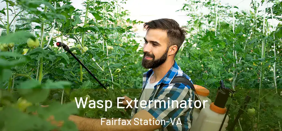 Wasp Exterminator Fairfax Station-VA