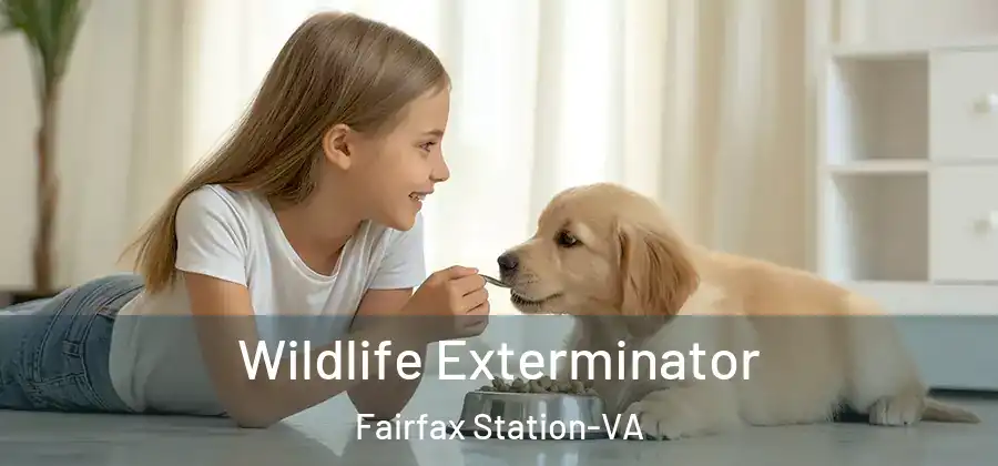  Wildlife Exterminator Fairfax Station-VA