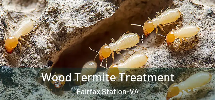  Wood Termite Treatment Fairfax Station-VA