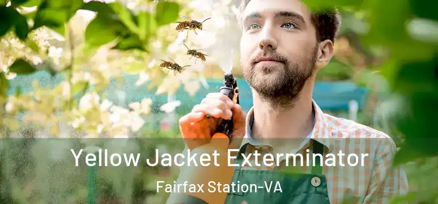  Yellow Jacket Exterminator Fairfax Station-VA